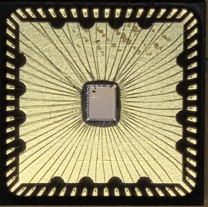 Chip photo